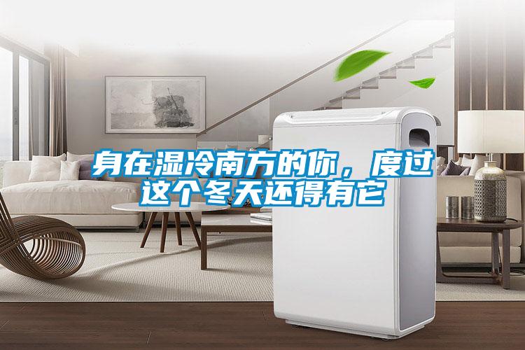 身在濕冷南方的你，度過這個冬天還得有它