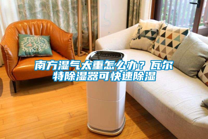 南方濕氣太重怎么辦？瓦爾特除濕器可快速除濕
