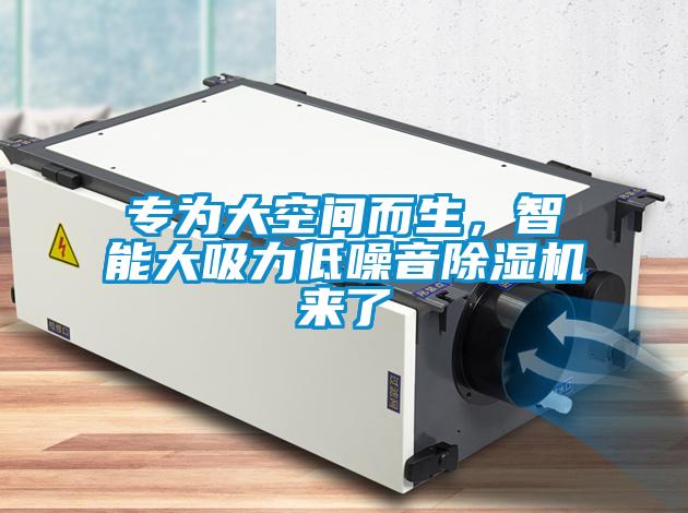 專為大空間而生，智能大吸力低噪音除濕機(jī)來(lái)了