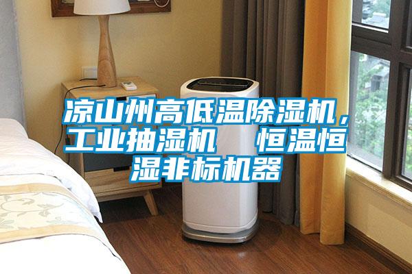 涼山州高低溫除濕機，工業抽濕機  恒溫恒濕非標機器