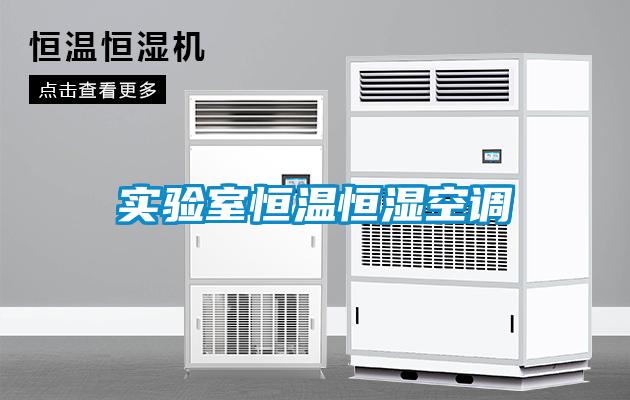 實驗室恒溫恒濕空調(diào)