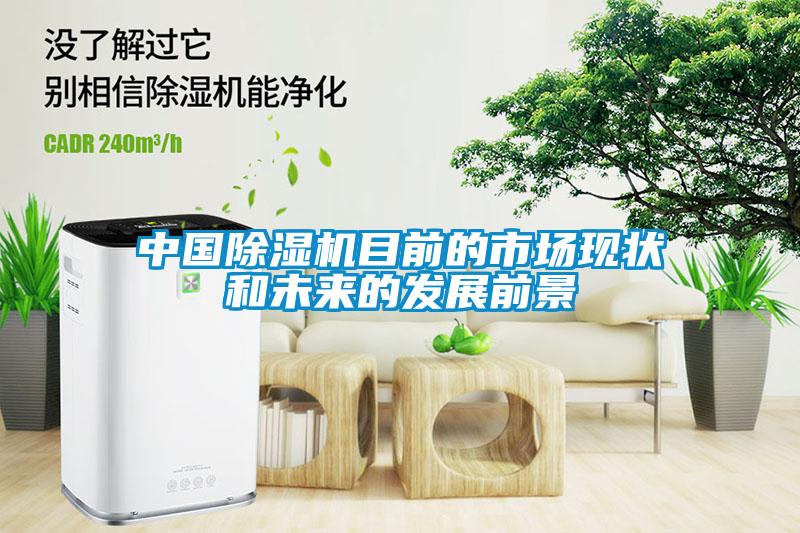 中國除濕機目前的市場現(xiàn)狀和未來的發(fā)展前景