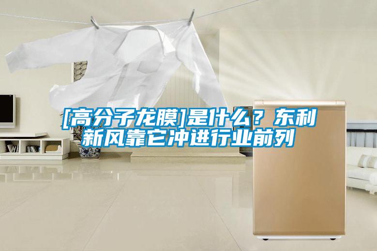 [高分子龍膜]是什么？東利新風靠它沖進行業前列