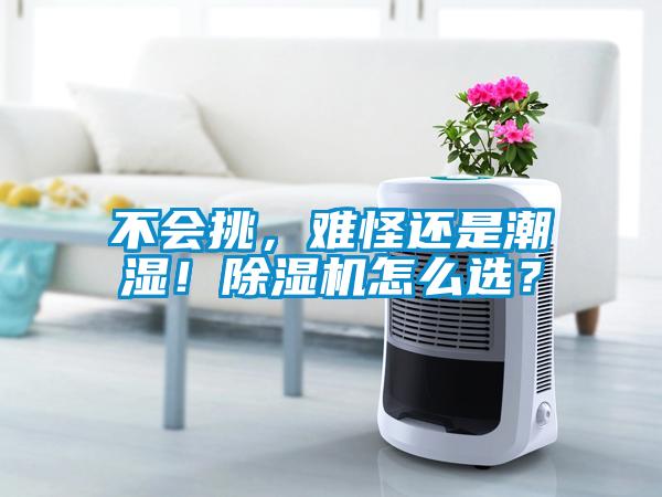 不會挑，難怪還是潮濕！除濕機怎么選？