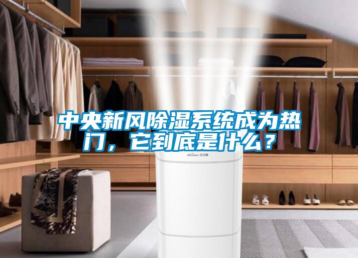 中央新風除濕系統成為熱門，它到底是什么？