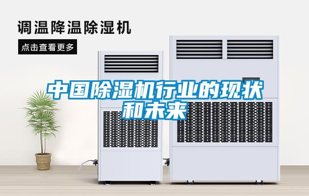 中國除濕機(jī)行業(yè)的現(xiàn)狀和未來