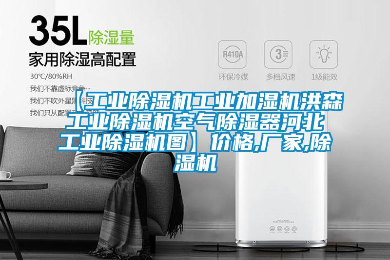 【工業(yè)除濕機(jī)工業(yè)加濕機(jī)洪森工業(yè)除濕機(jī)空氣除濕器河北工業(yè)除濕機(jī)圖】價(jià)格,廠家,除濕機(jī)