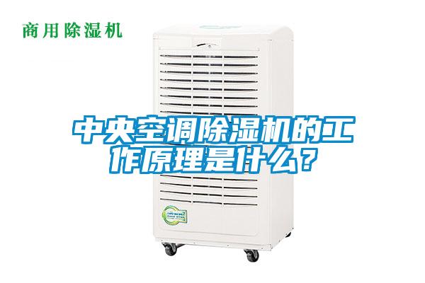 中央空調除濕機的工作原理是什么？