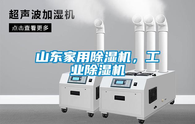 山東家用除濕機，工業(yè)除濕機