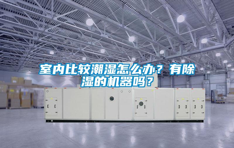 室內比較潮濕怎么辦？有除濕的機器嗎？