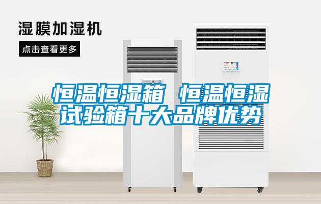 恒溫恒濕箱 恒溫恒濕試驗(yàn)箱十大品牌優(yōu)勢(shì)