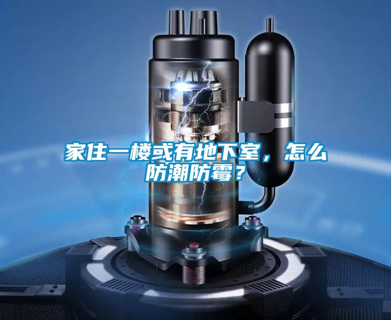 家住一樓或有地下室，怎么防潮防霉？
