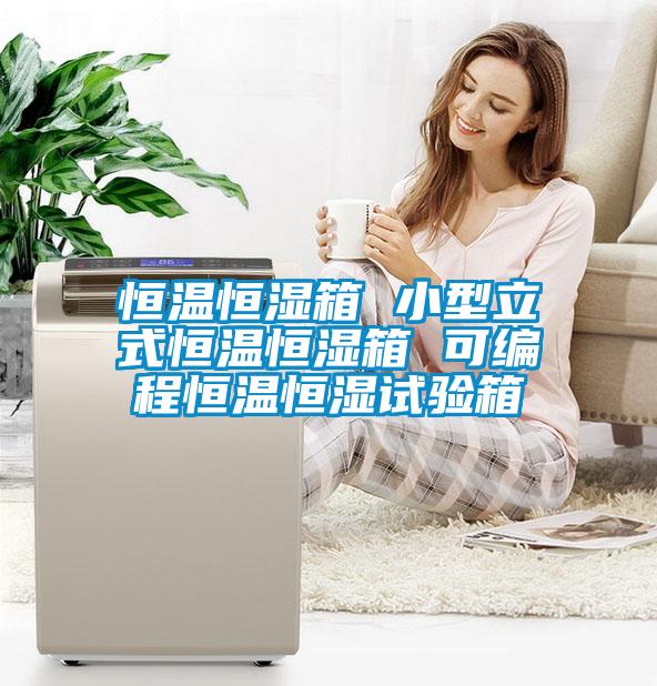 恒溫恒濕箱 小型立式恒溫恒濕箱 可編程恒溫恒濕試驗(yàn)箱