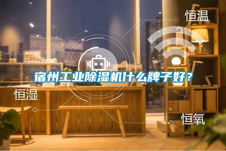宿州工業除濕機什么牌子好？