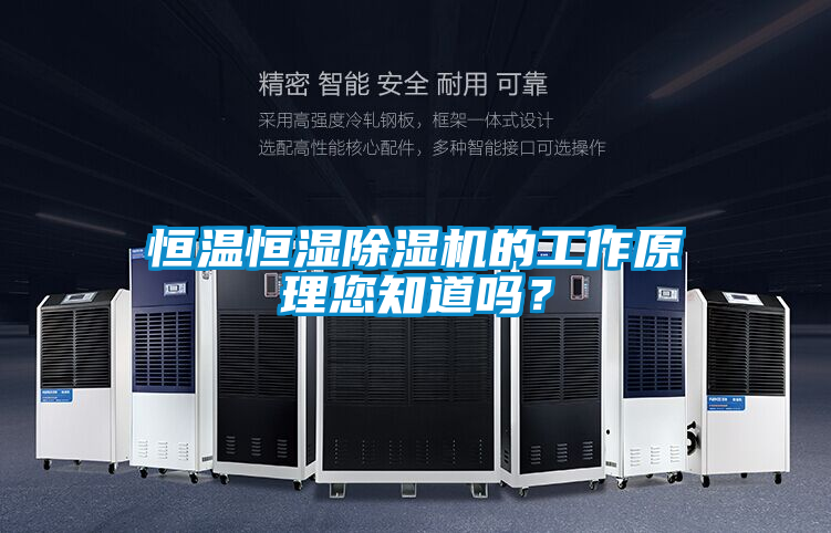 恒溫恒濕除濕機的工作原理您知道嗎？