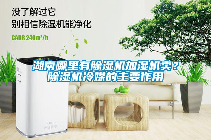 湖南哪里有除濕機(jī)加濕機(jī)賣(mài)？除濕機(jī)冷媒的主要作用