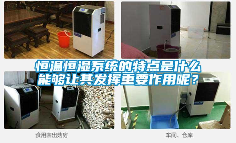 恒溫恒濕系統(tǒng)的特點(diǎn)是什么能夠讓其發(fā)揮重要作用呢？