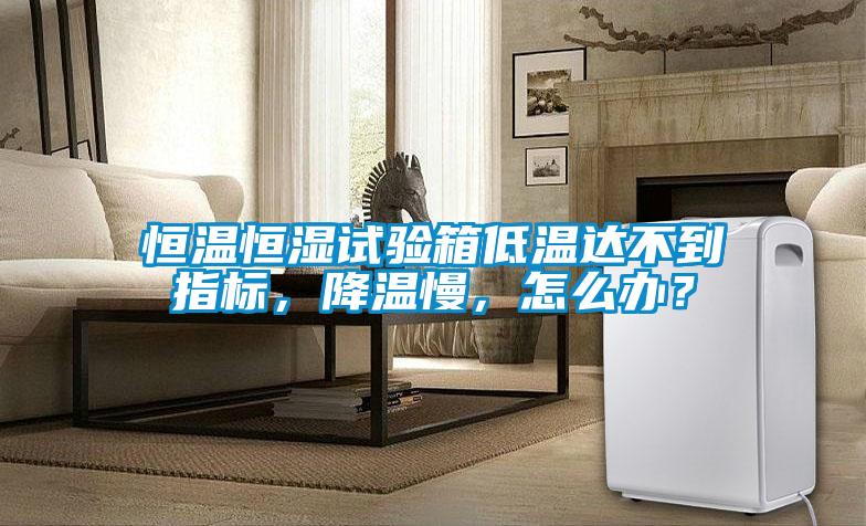 恒溫恒濕試驗箱低溫達不到指標，降溫慢，怎么辦？