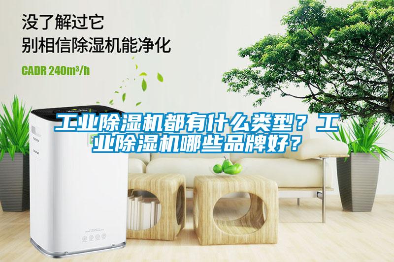工業(yè)除濕機(jī)都有什么類型？工業(yè)除濕機(jī)哪些品牌好？