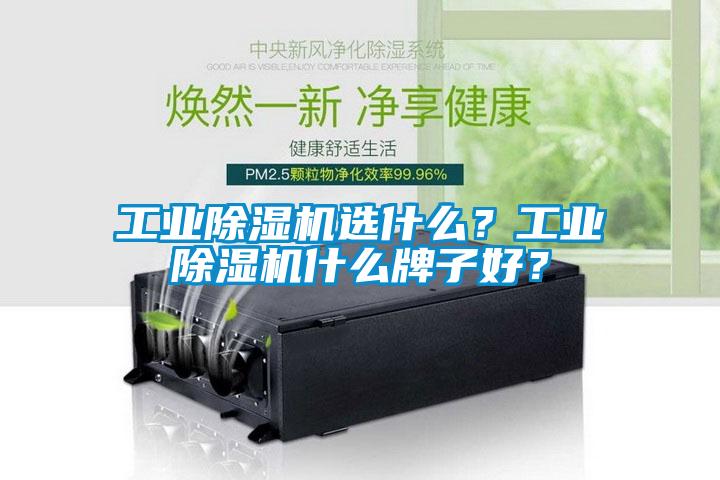 工業除濕機選什么？工業除濕機什么牌子好？