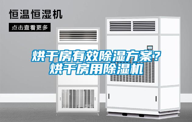烘干房有效除濕方案？烘干房用除濕機