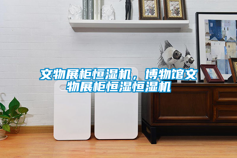 文物展柜恒濕機，博物館文物展柜恒濕恒濕機