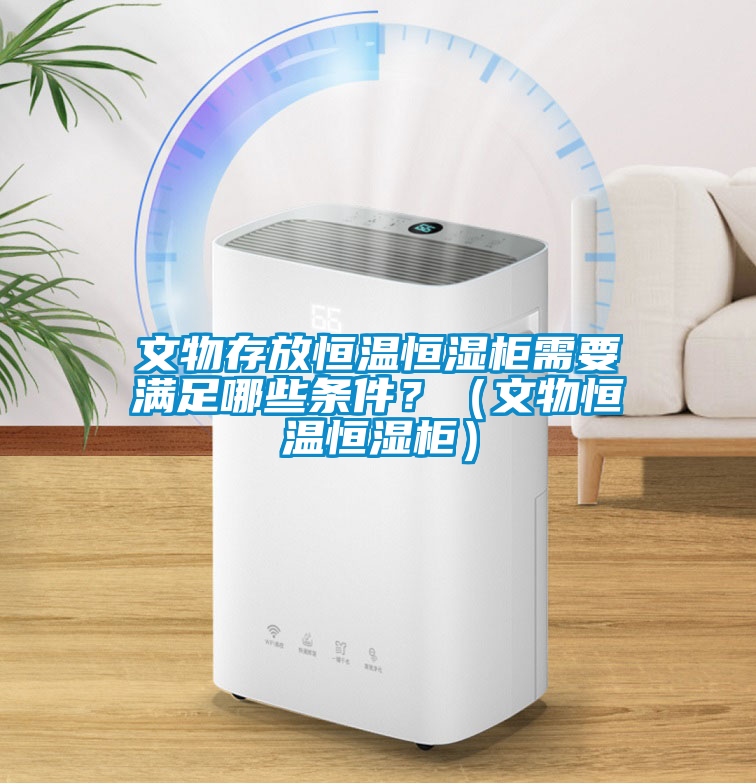 文物存放恒溫恒濕柜需要滿足哪些條件？（文物恒溫恒濕柜）
