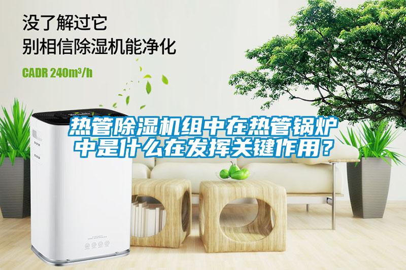 熱管除濕機(jī)組中在熱管鍋爐中是什么在發(fā)揮關(guān)鍵作用？