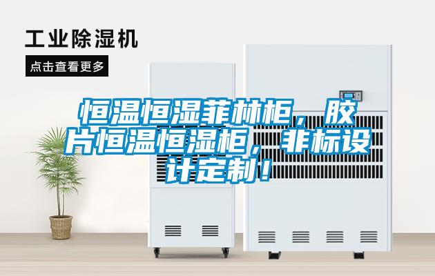 恒溫恒濕菲林柜，膠片恒溫恒濕柜，非標(biāo)設(shè)計(jì)定制！