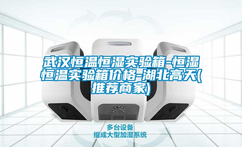 武漢恒溫恒濕實(shí)驗(yàn)箱-恒濕恒溫實(shí)驗(yàn)箱價格-湖北高天(推薦商家)