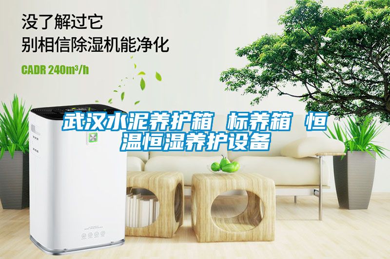 武漢水泥養(yǎng)護箱 標養(yǎng)箱 恒溫恒濕養(yǎng)護設(shè)備