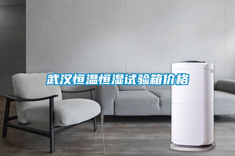 武漢恒溫恒濕試驗(yàn)箱價格