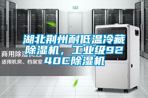 湖北荊州耐低溫冷藏除濕機，工業級9240C除濕機