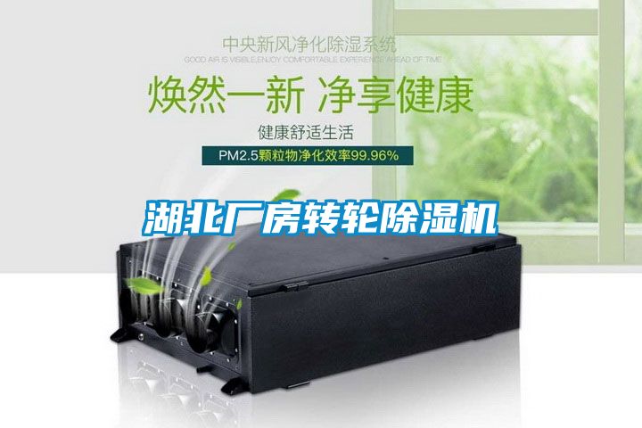 湖北廠房轉(zhuǎn)輪除濕機(jī)