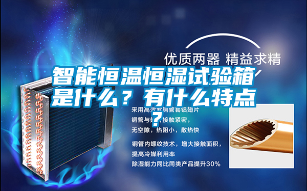 智能恒溫恒濕試驗(yàn)箱是什么？有什么特點(diǎn)？