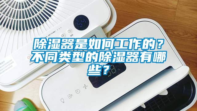 除濕器是如何工作的？不同類型的除濕器有哪些？