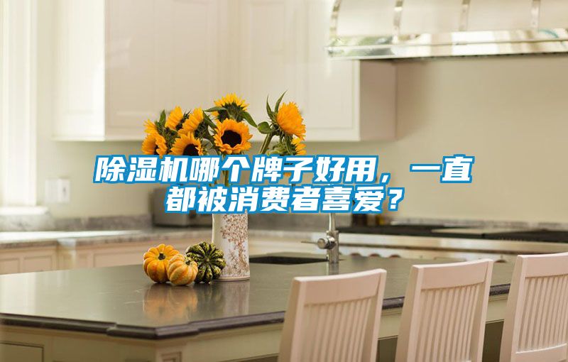 除濕機(jī)哪個(gè)牌子好用，一直都被消費(fèi)者喜愛(ài)？