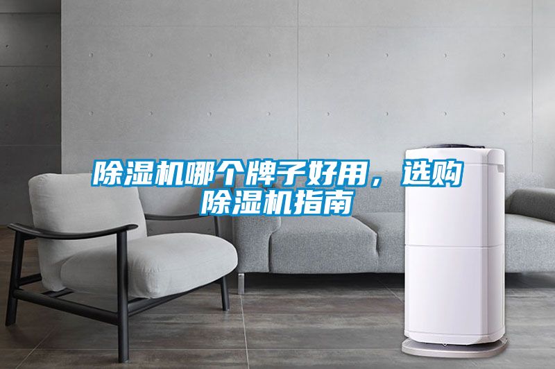 除濕機(jī)哪個(gè)牌子好用，選購(gòu)除濕機(jī)指南