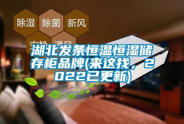 湖北發(fā)條恒溫恒濕儲(chǔ)存柜品牌(來(lái)這找，2022已更新)