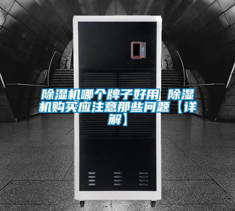 除濕機(jī)哪個(gè)牌子好用 除濕機(jī)購(gòu)買(mǎi)應(yīng)注意那些問(wèn)題【詳解】