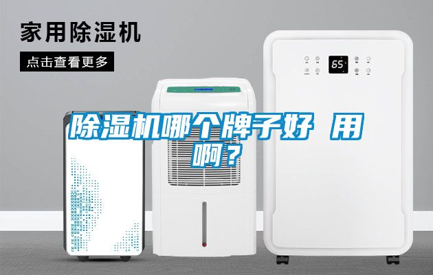 除濕機(jī)哪個牌子好 用啊？