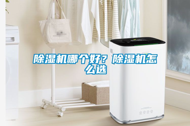 除濕機(jī)哪個好？除濕機(jī)怎么選