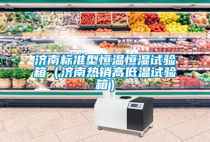 濟(jì)南標(biāo)準(zhǔn)型恒溫恒濕試驗箱（濟(jì)南熱銷高低溫試驗箱）