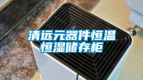 清遠(yuǎn)元器件恒溫恒濕儲存柜