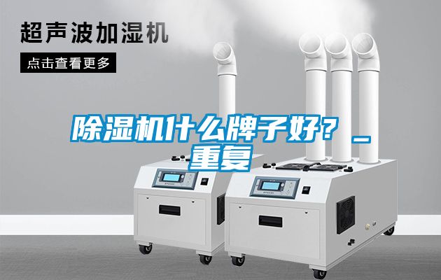 除濕機什么牌子好？_重復