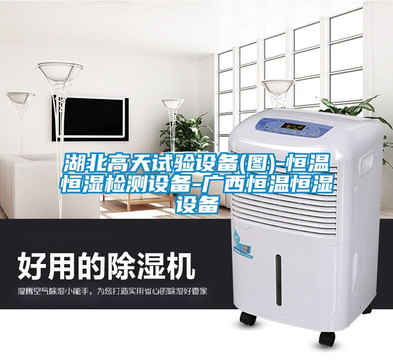 湖北高天試驗(yàn)設(shè)備(圖)-恒溫恒濕檢測(cè)設(shè)備-廣西恒溫恒濕設(shè)備
