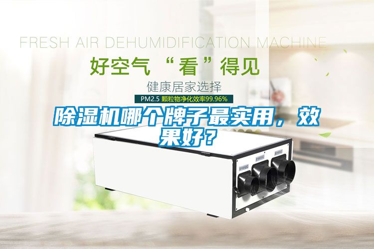 除濕機(jī)哪個牌子最實(shí)用，效果好？