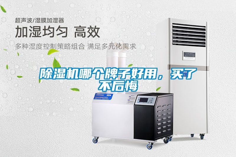 除濕機(jī)哪個(gè)牌子好用，買(mǎi)了不后悔