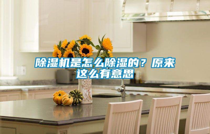除濕機是怎么除濕的？原來這么有意思
