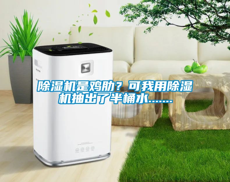 除濕機是雞肋？可我用除濕機抽出了半桶水.......